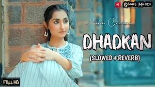 Dhadkan Full Song Lofi (Slowed+Reverb) Mani Chopra And Paras Chopra 💗 #dhadkan