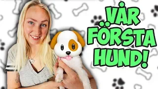 Vi hämtar och träffar vår hund!🐶