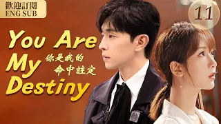 EngSub《你是我的命中註定》▶EP 11平凡女孩好不容易找個有房的男朋友，卻被嫌棄不是處女#楊紫#鄧倫#王子文#王凱#喬欣 C-Drama