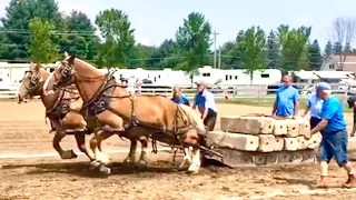 HORSE PULLING COMPETITION // Why I go to Horse Pulls with my Draft Horses