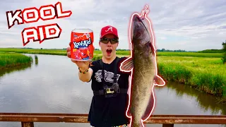 I Tested using *KOOL AID* for CATFISH BAIT!!? (Surprising Result!)