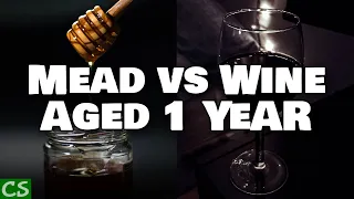 Wine vs Mead Taste Test - After a Year of Aging