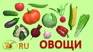 Учим овощи. Первые слова для малыша. Развивающий мультик для детей 1-3 года