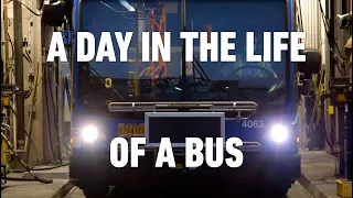 A Day in the Life of a Bus