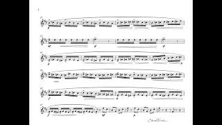 Rimsky-Korsakov - Flight of the Bumble Bee - T. Dokshizer trumpet Bb