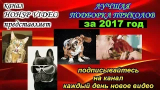 ПРИКОЛЫ 2017 ИЮЛЬ № 19 ржака до слез угар прикол ПРИКОЛЮХА HOHSP VIDEO