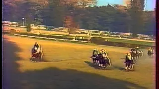 Velká pardubická 100. ročník (1990)