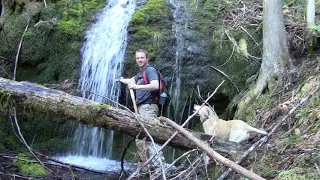 Clover patch hike