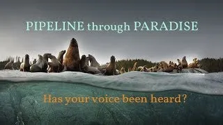 Pipeline Through Paradise