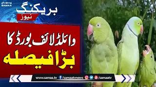 Big Decision by Wild Life in Pakistan | Parrots Count | Breaking News | SAMAA TV