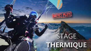 Parapente : Stage Thermique, Validation Brevet de Pilote à Saint André les Alpes