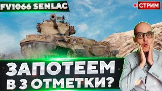 FV1066 Senlac - Его ТОЧНО СТОИТ брать?🔥 Вовакрасава