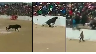 Terrifying Moment Four People Are Injured After Bull Jumps Into The Crowd