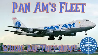 Pan Am's Fleet. Where Are They Now? 2023 Updated with Corrections