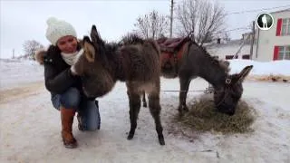 Москва и окрестности. Егорьевск