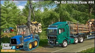 #FarmingSimulator22🔹Buying a New MAN Truck. Logging & Transporting Timber🔹#TheOldStreamFarm Ep.44🔹4K