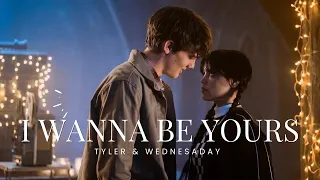 Tyler & Wednesday [ I Wanna Be Yours ]