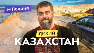 По Казахстану на внедорожнике: пустыни, степи, сайгаки и меловые горы. Маршрут и подготовка