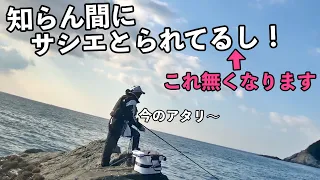 僕がやってたウキを浮かせた全遊動の練習方法と考え方 [ざっくり版] [フカセ釣り] [全層]