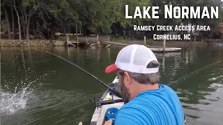 Lake Norman - Ramsey Creek Park - Kayak Fishing for Bass - Cornelius, NC