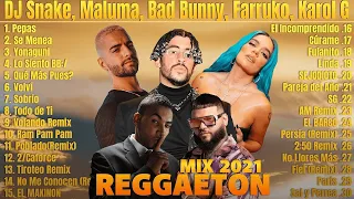Mix Reggaeton 2021 Farruko, Don Omar, Bad Bunny, Maluma, Rauw Alejandro, ROSALÍA, J. Balvin, Karol G