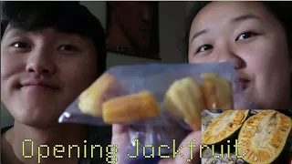 Opening Jack Fruit + Taste Test