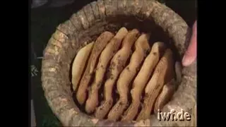 Skep Beekeeping in the Heathland - 1978