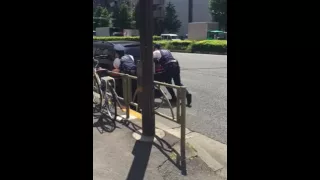 Japanese. police. very. good. human