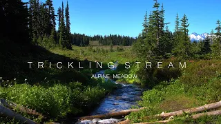 Trickling Stream - Alpine Meadow - Relaxing Meadow Creek & Summer Ambience