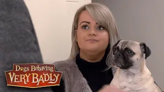 Dogs Behaving Very Badly - Series 1, Episode 6 | Full Episode