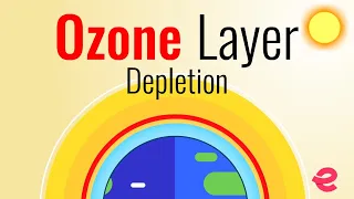 What Is The Ozone Layer? | Ozone Layer Depletion | Class 12 Biology | Extraclass.com