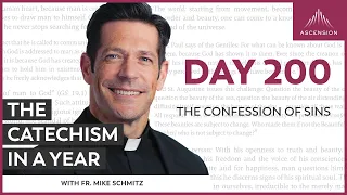 Day 200: The Confession of Sins — The Catechism in a Year (with Fr. Mike Schmitz)