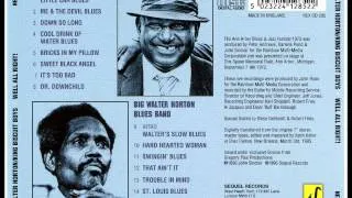 Big Walter Horton Blues Band - Trouble In Mind