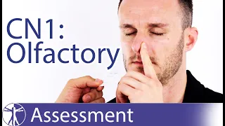 Cranial Nerve 1 | Olfactory Nerve Assessment for Physiotherapists