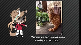 Кот симба умер... 😭❤️