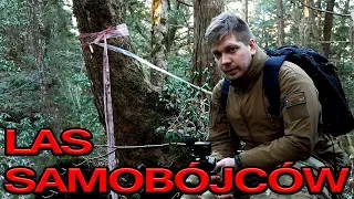 SUICIDE FOREST IN JAPAN AOKIGAHARA - Urbex History