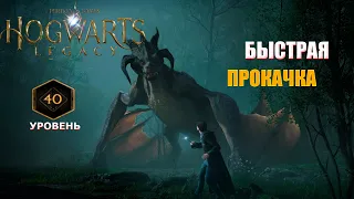 HOGWARTS LEGACY ГАЙД / HOGWARTS LEGACY БЫСТРАЯ ПРОКАЧКА / КАК БЫСТРО ПРОКАЧАТЬ 40 УРОВЕНЬ