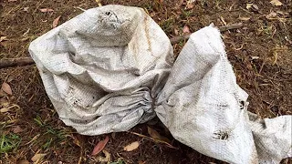 Девушка обнаружила грязный мешок, в котором кто-то шевелился