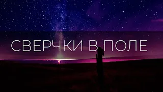 Сверчки для сна,  Глубокий сон,  Музыка для релакса и сна.