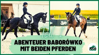 Zum 1. Mal nach Baborowko: FMA Teil 1 – Packen, Anreise, Dressur & Gelände abgehen mit den Profis 🐎