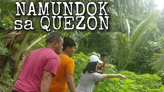 ATIMONAN, QUEZON| Manguha tayo ng edible fern o PAKO