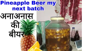 Pineapple Beer my new batch | अनाअनास की बीयर बनाए