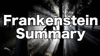 Frankenstein Summary, (One Minute Summary)