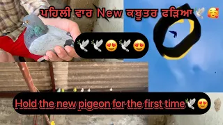 🕊🥰ਪਹਿਲੀ ਵਾਰ new ਕਬੂਤਰ ਫੜਿਆ 😍🕊(Hold the new pigeon for the first time 🕊😍 (buttar pigeon club)