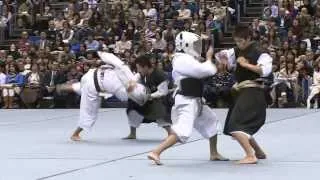 「少林寺拳法」日体大公式映像　第51回体育研究発表実演会