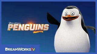 Meet Private | PENGUINS OF MADAGASCAR