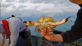 My Tastiest Catch & Cook Yet ! Brown Crab Pasta in a Shell