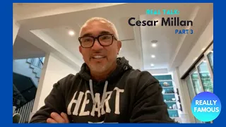 CESAR MILLAN answers dog questions + reveals his new HALO for dogs