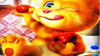 Говорящий Рыжик  2 рыжий говорящий котик Джинджер #6 мультик игра для детей Talking Ginger