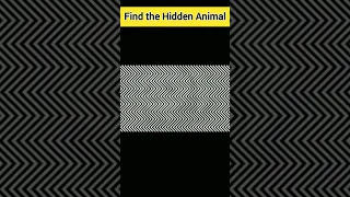 Find the Hidden Animal #shorts